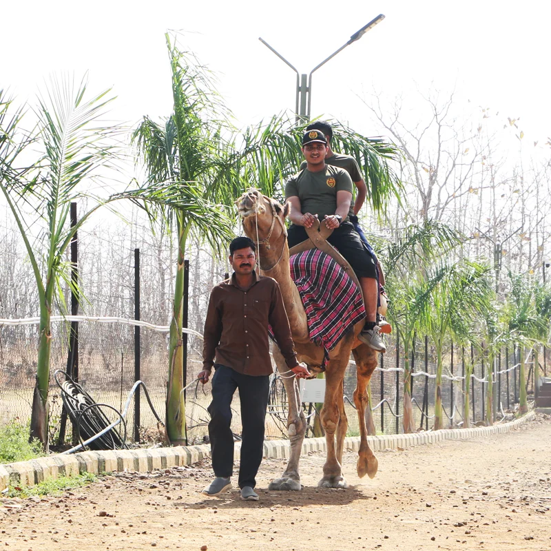 Summer Camp | Achievers Adventure Camp | AAC