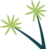 Summer Camp | Achievers Adventure Camp | AAC